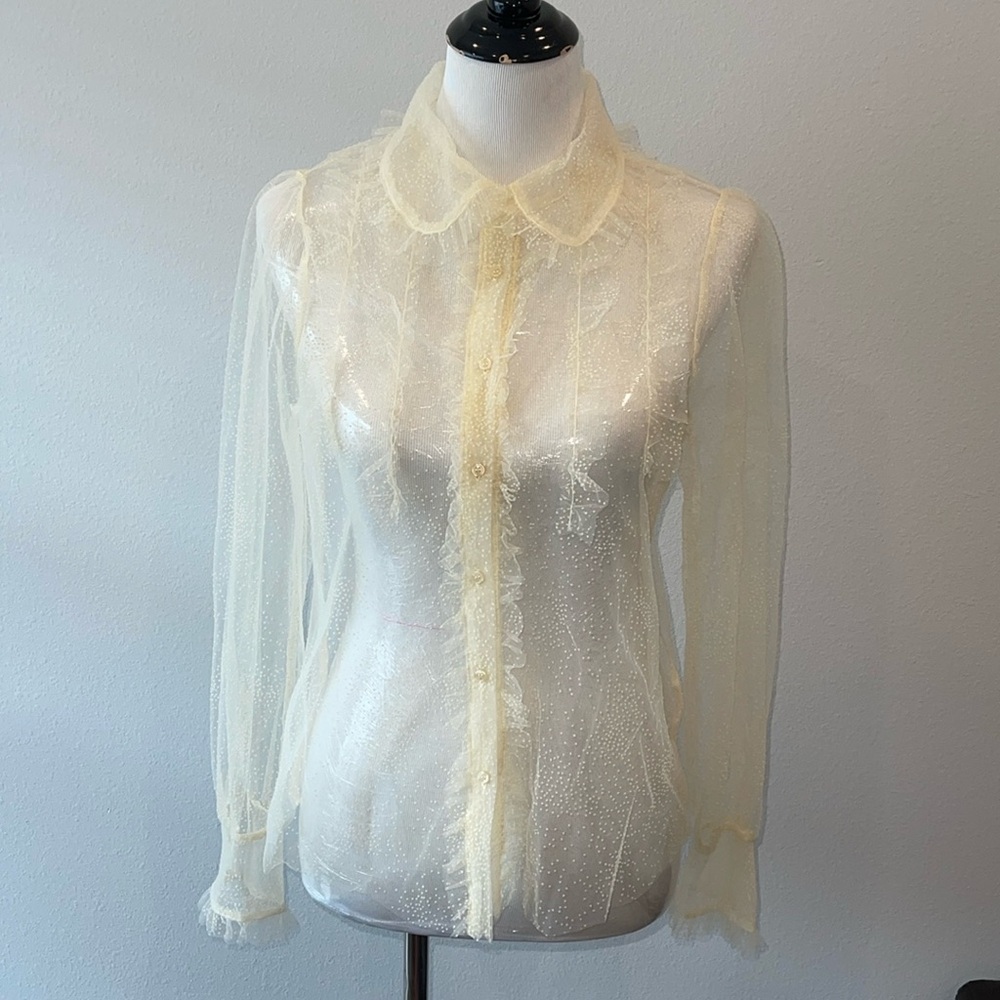 Zara sheer blouse